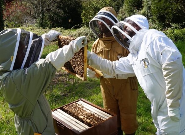 i0JuVs0nQ3ugXdJOtiiQ_Beekeeping image slider (7)